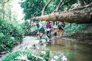 BIB: 
                            <button type="button" onclick="openModal(25461830)" class="btn btn-primary btn-sm float-right btn-popup" data-toggle="modal" data-target=".modal-high-quality">
                        <i class="fas fa-shopping-cart"></i> Add to Cart
                    </button>
                                            <button type="button" onclick="isThisMe(25461830, true)" class="btn btn-success btn-sm float-right btn-popup btn-isme hidden" data-toggle="tooltip" data-placement="bottom" title="นี่คือรูปของคุณใช่ไหม คลิกที่นี่เพื่อเอาเข้าอัลบั้ม">
                        <i class="fas fa-plus"></i> Add to album
                    </button>
                    <button type="button" onclick="isThisMe(25461830, false)" class="btn btn-warning btn-sm float-right btn-popup btn-isnotme hidden">
                        <i class="fas fa-ban"></i> Remove from album
                    </button>